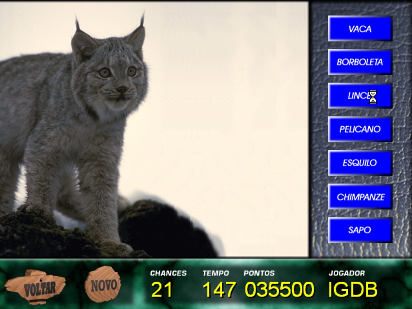 Game screenshot