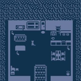 Rainy Day